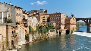 Agence Immobilière Albi